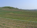 Ruedesheim